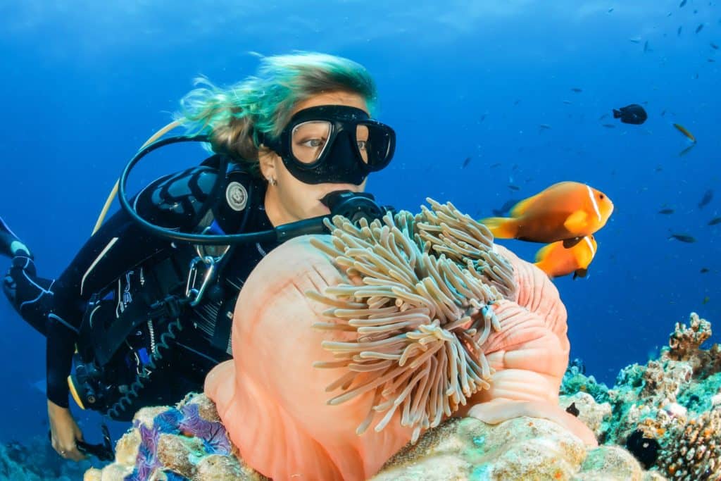 Exploration des fonds maritimes de Cavalaire-sur-Mer