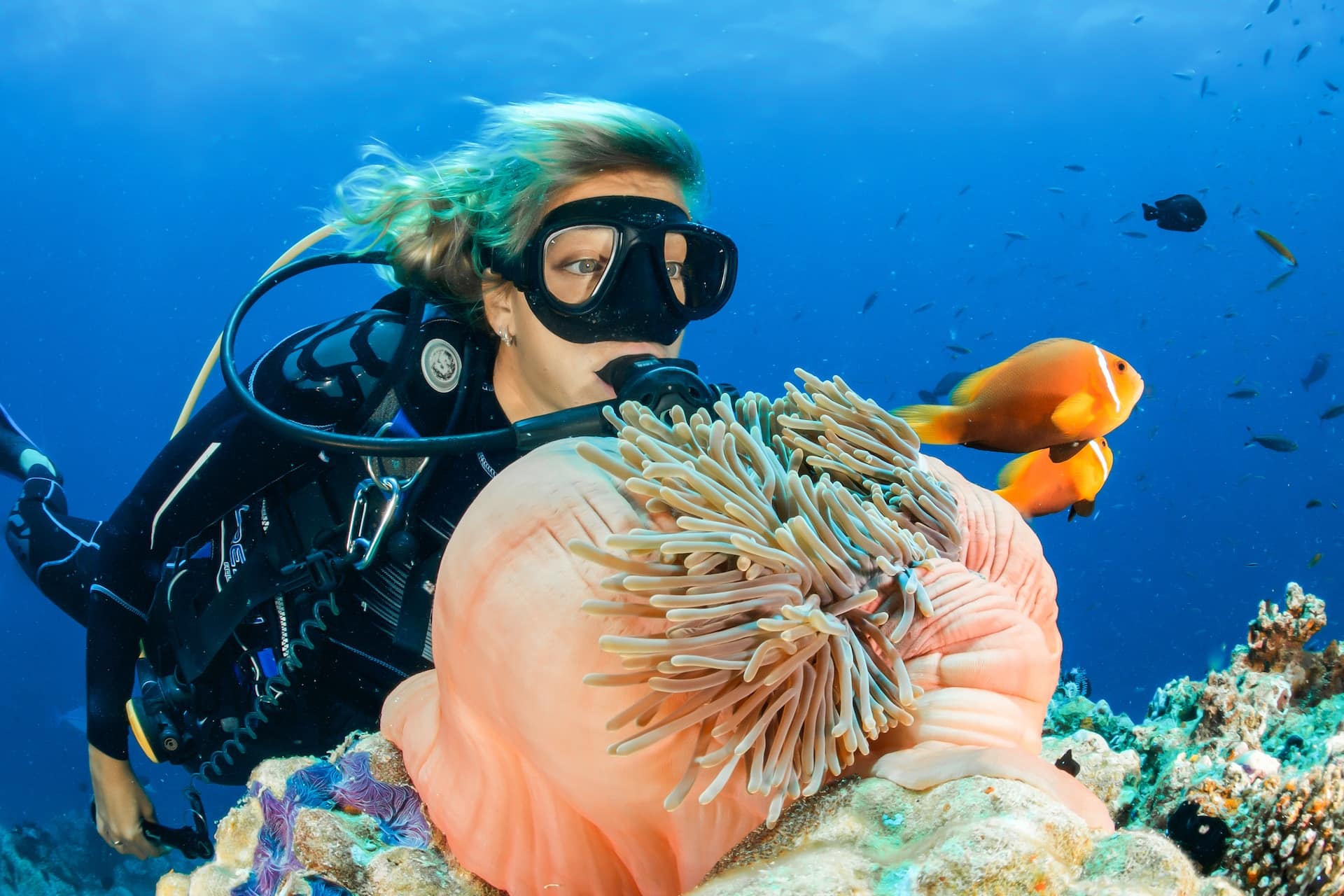 Plongée à Cavalaire-sur-Mer - Plongée sous-marine dans le Var