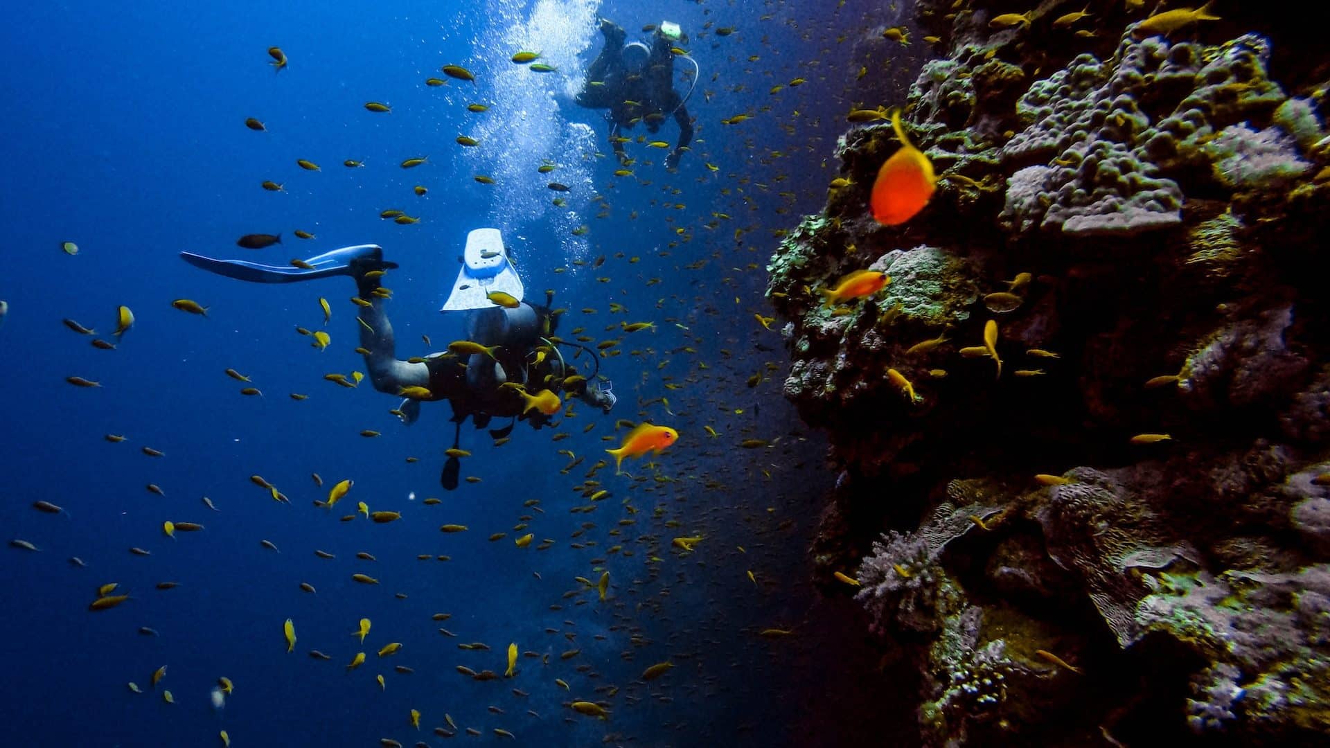 Plongée sous marine à Cavalaire près du camping