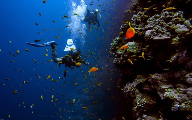 Plongée sous marine à Cavalaire près du camping