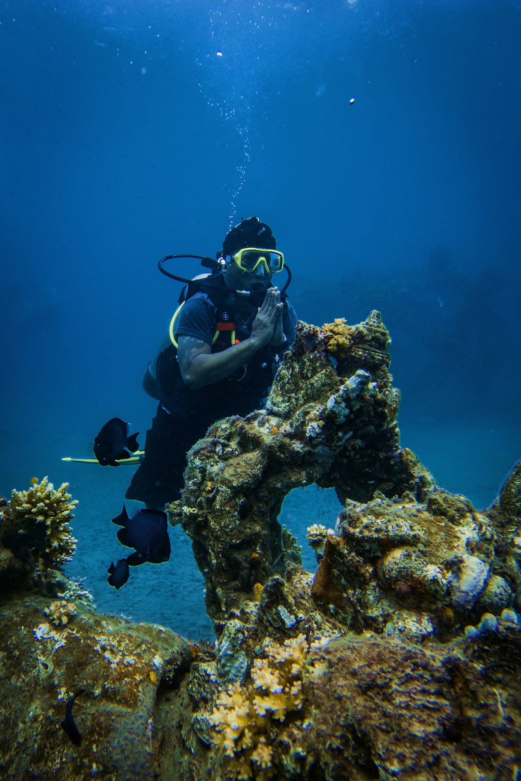 Plongée à Cavalaire-sur-Mer - Plongée sous-marine dans le Var